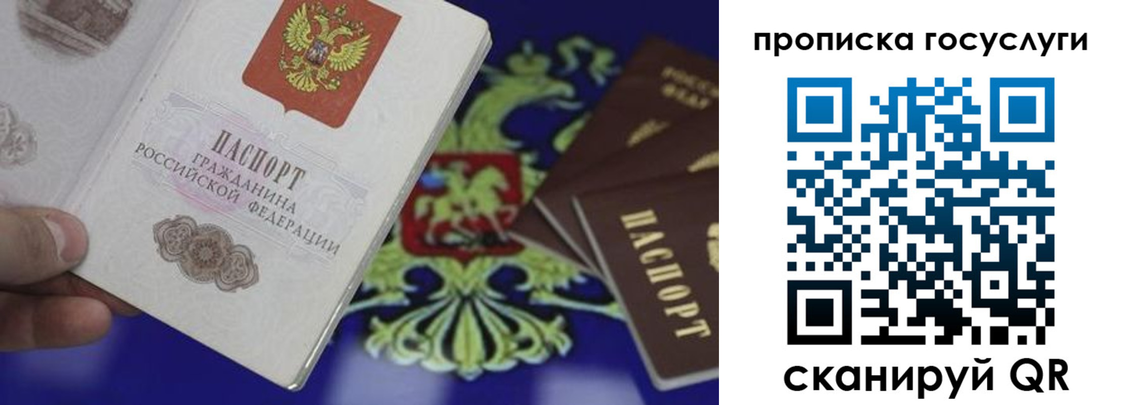 прописка для школы в Солнечногорске